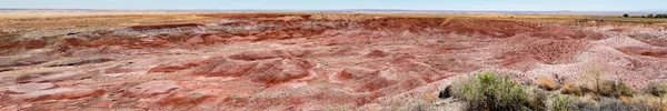塗られた砂漠 アリゾナ北東部のナバホ族とアパッチ郡で化石の森国立公園の一部 米国南西部および塗られた砂漠を取得します私からの多くの部分で表面に表示されるカラフルなシンレ — ストック写真