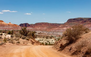 Paria veya Pahreah, Paria nehrin içinde Grand merdiven-Escalante ulusal anıt içinde merkezi Kane County, Utah, Amerika Birleşik Devletleri bir hayalet kasaba var. Bu 1870 1929 için yaşadığı ve daha sonra bir filme konum olarak kullanılan