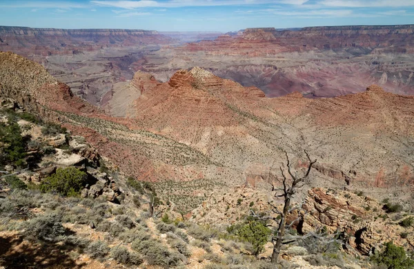 Έρημο Σημείο Grand Canyon — Φωτογραφία Αρχείου