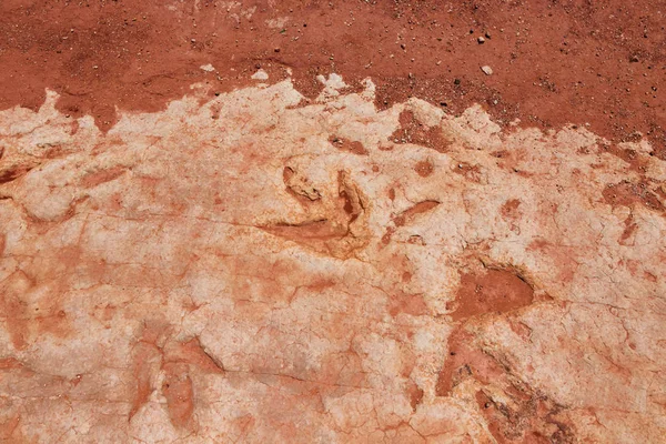 Moenkopi Δεινόσαυρος Κομμάτια Αυτά Κομμάτια Δεινόσαυρος Σχηματίστηκαν Στην Πρώιμη Ιουρασική — Φωτογραφία Αρχείου