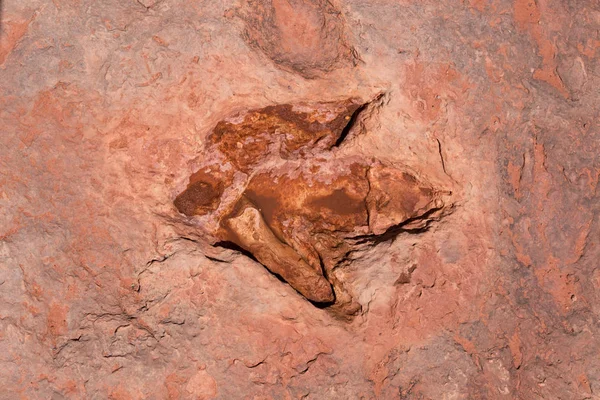 Moenkopi Dinozor Parçaları Dinozor Parçaları Erken Jurassic Dönemde Yaklaşık 200 — Stok fotoğraf