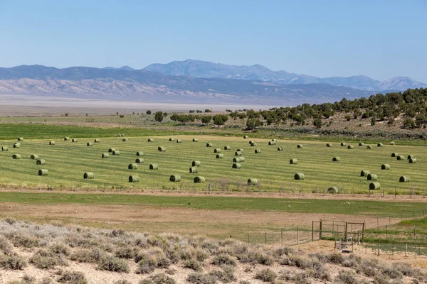 Agriculture Route Una Carretera Transcontinental Los Estados Unidos Que Extiende —  Fotos de Stock