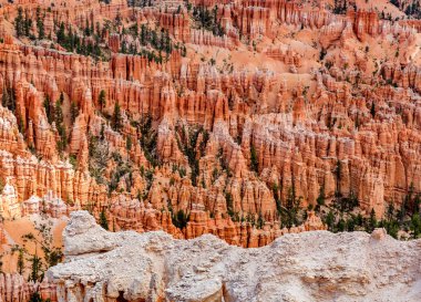 Bryce Canyon Milli Parkı, spire şeklindeki kaya oluşumları olan koyu kırmızı renkli hoodoos için bilinir. Bakan gündoğumu noktası, günbatımı noktası, ilham noktası ve Bryce noktası vardır. Bu görüntü için Bryce noktasıdır