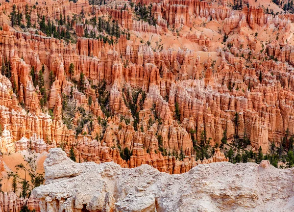 Bryce Canyon National Park Conocido Por Los Hoodoos Color Carmesí — Foto de Stock