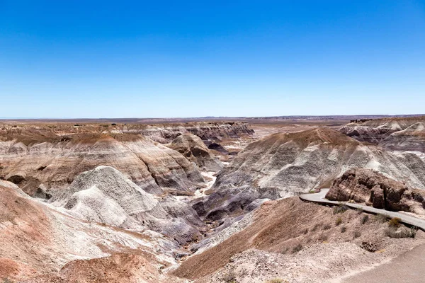 Painted Desert Osa Navajon Apachen Kreivikuntien Kivettynyttä Metsäkansallispuistoa Arizonassa Värikäs — kuvapankkivalokuva