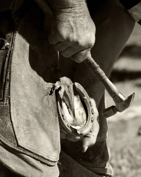 Horseshoeing Πεταλωτή Προσαρμογή Άλογα Πέταλα Δείχνει Επισυνάπτοντας Ζεστό Πέταλο Στην — Φωτογραφία Αρχείου