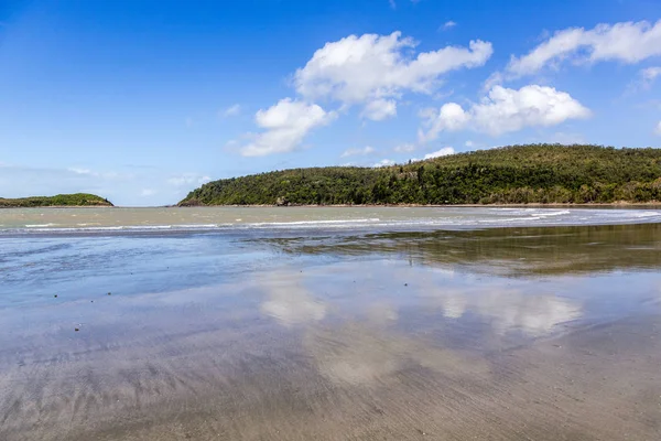 Cape Hillsborough National Park Cirka Kilometer Norr Mackay Ett Naturligt — Stockfoto