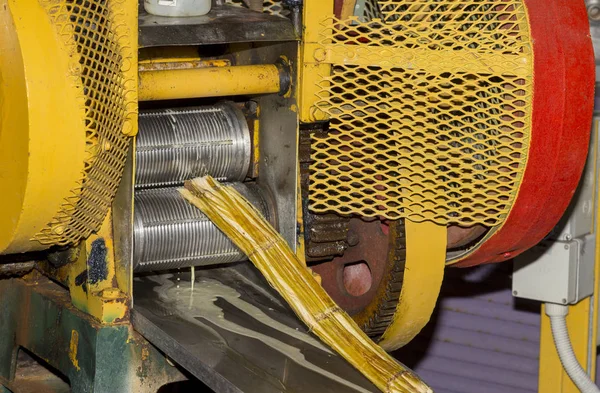 Crushing sugar cane — Stock Photo, Image