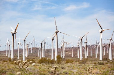 Windfarm