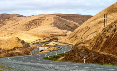 yol gezisi Yeni Zelanda