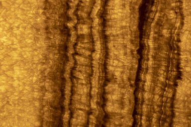 Desenli sarı cam arkaplan