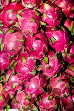 ejderha meyvesi ya da pitaya asma ağacında yetişir.