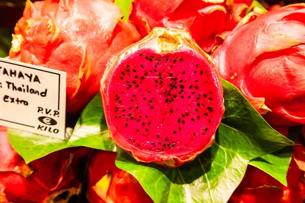 Dragon Fruit Pitaya Grows Vine Popular Asian Fruit — Stock Photo, Image