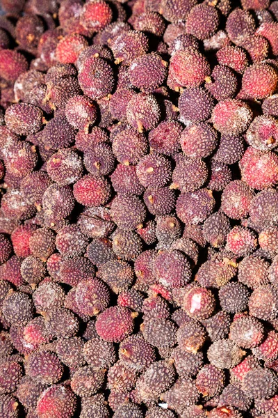 Lychee Sole Member Genus Litchi Soapberry Family Sapindaceae Tropical Tree — Stock Photo, Image