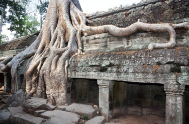 Siem hasadı Kamboçya tapınakları Hindu taş tapınakları kompleksi. Tamamen beton olmadan oyulmuş taş. 14. yüzyılda bir zamanların gelişen ulusu ve kültüründen gelen kayıp tapınaklar olarak bilinir..