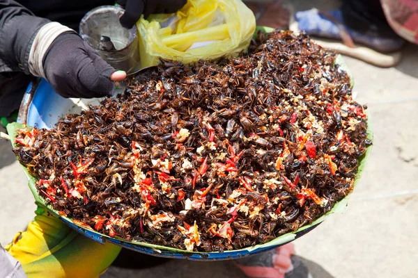 Kamboçya Fast Food Satıcısı Vietnam Sınırında Kırmızı Biberli Cırcır Böcekleri — Stok fotoğraf