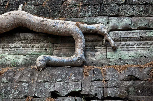 シームはカンボジアの寺院を収獲ヒンズー教の石の寺院複合体 すべての石はコンクリートで彫刻 一時繁栄する国家と文化から14世紀頃に隣接する失われた寺院として知られています — ストック写真