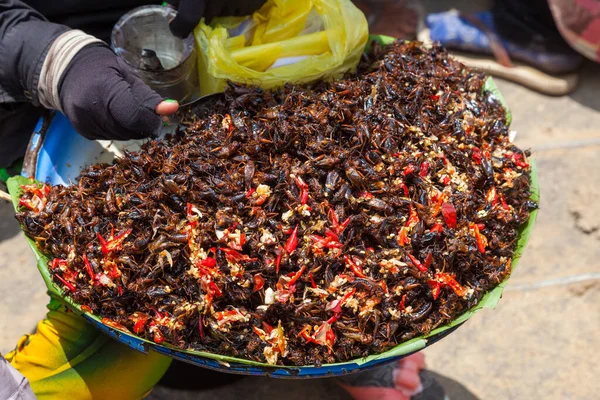 Böcekler Yemek Olarak Asya Lezzeti — Stok fotoğraf
