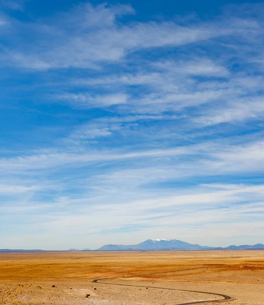 旗スタッフの近くのアリゾナ砂漠 — ストック写真
