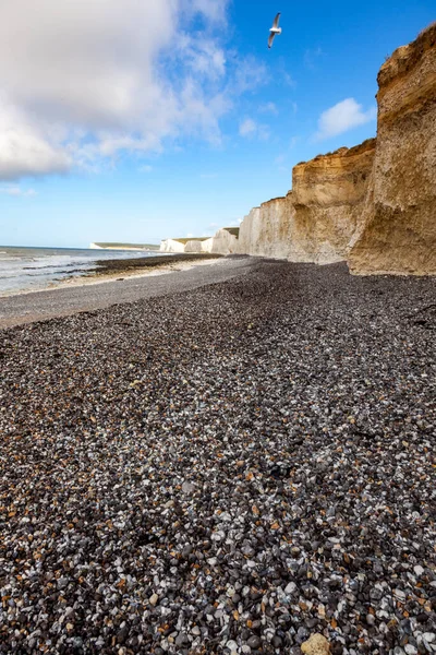 Die White Cliffs Dover Teil Der North Downs Formation Ist — Stockfoto