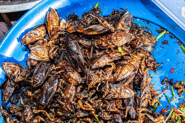 Asya Lezzet Böcekleri Yiyecek Olarak — Stok fotoğraf