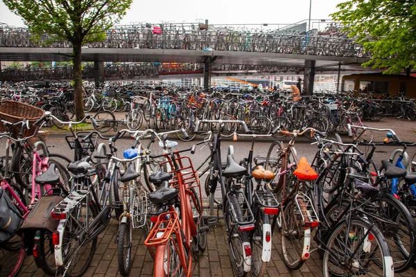 Ciclismo Amsterdam Principal Medio Transporte Esto Estacionamiento — Foto de Stock