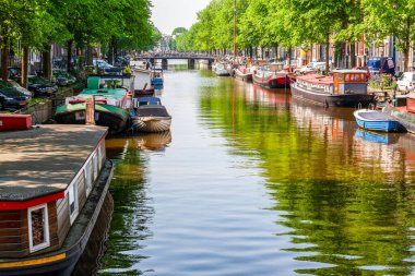 Amsterdam Hollanda 'da tipik bir sahne