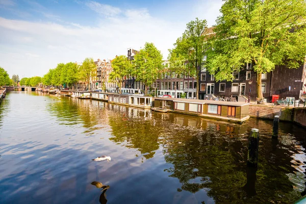 Typical Scene Amsterdam Holland — Stock Photo, Image