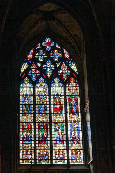 Katedrála Notre Dame Století Značně Poškozená Během První Světové Války — Stock fotografie