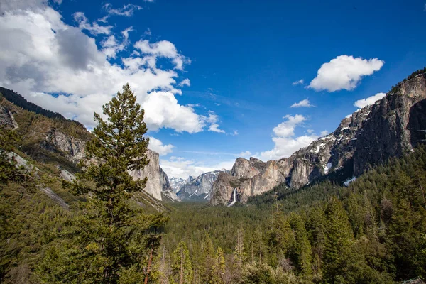 Yosemite National Park is in California\'s Sierra Nevada mountains. Its famed for its giant, ancient sequoia trees, and for Tunnel View, the iconic vista of towering Bridalveil Fall and the granite cliffs of El Capitan and Half Dome.