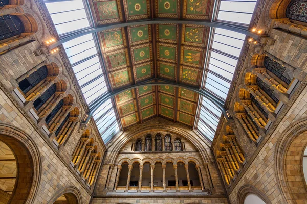 Het Natural History Museum Londen Architec Talfred Waterhouse Creëerde Een — Stockfoto