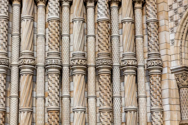 Natural History Museum London 알프레드 워터하우스 Alfred Waterhouse 건축가인 알프레트 — 스톡 사진