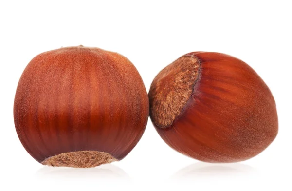 Zralé Ořechy Nepoškozeným Kostce Izolovaných Bílém Pozadí Detail — Stock fotografie