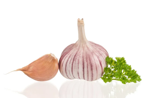 Fresh garlic bulb — Stock Photo, Image