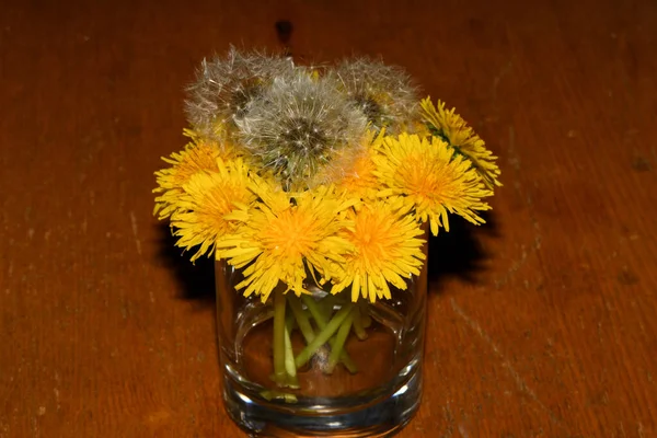 Yellow Dandelions Glass — Stock Photo, Image