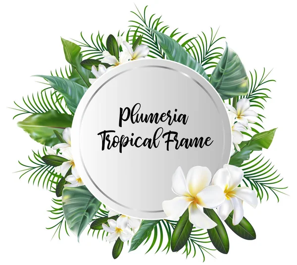 Κύκλος Πανό Palm Φύλλα Plumeria Flower Αφίσα Για Εκτύπωση Πρόσκληση — Διανυσματικό Αρχείο