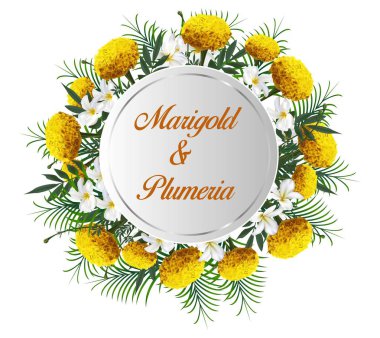 Kadife çiçeği, plumeria çiçek ve palmiye yaprakları, vektör illüstrasyon çember afiş