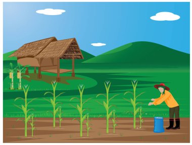 Asyalı çiftçi pirinç yetiştiriyor, vektör tasarımı