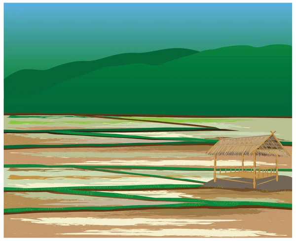 Reisfeld Mit Bambushütte Landschaftsplaner Design — Stockvektor