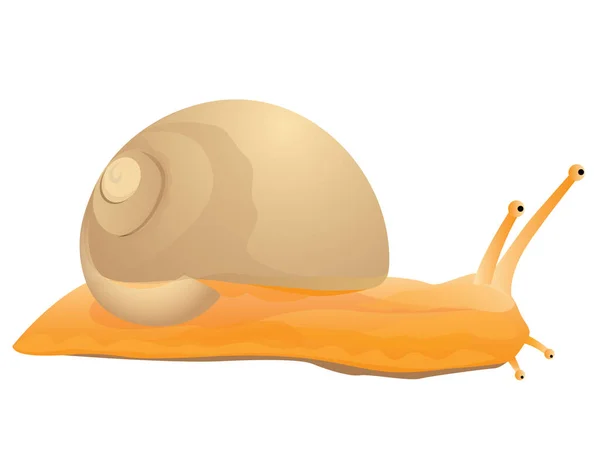 Caracol Desenho Vetor Fundo Branco — Vetor de Stock