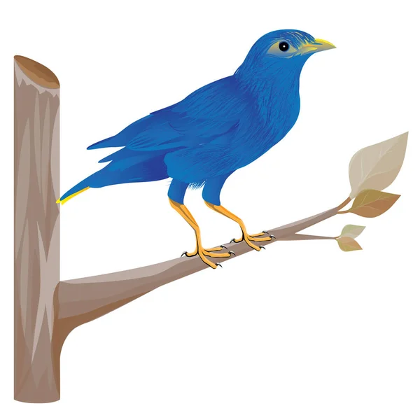 Schöner Vogel Auf Zweigvektordesign — Stockvektor