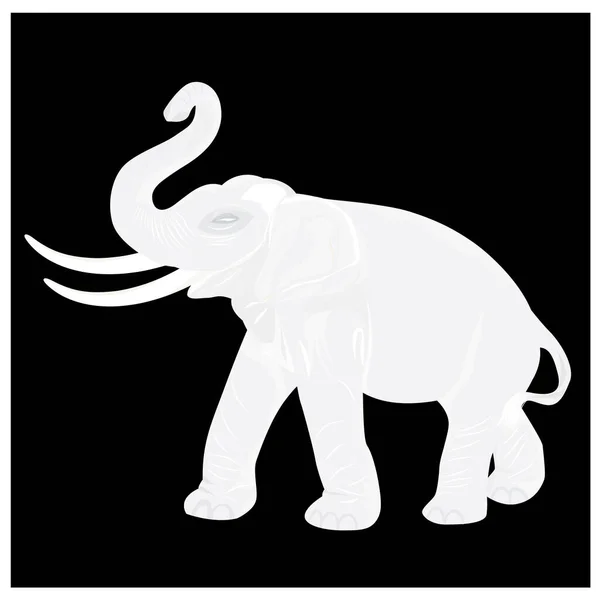 White Elephant Vector Design — 스톡 벡터