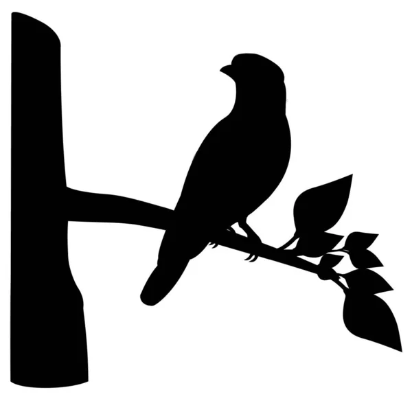 鳥のベクトルシルエット — ストックベクタ
