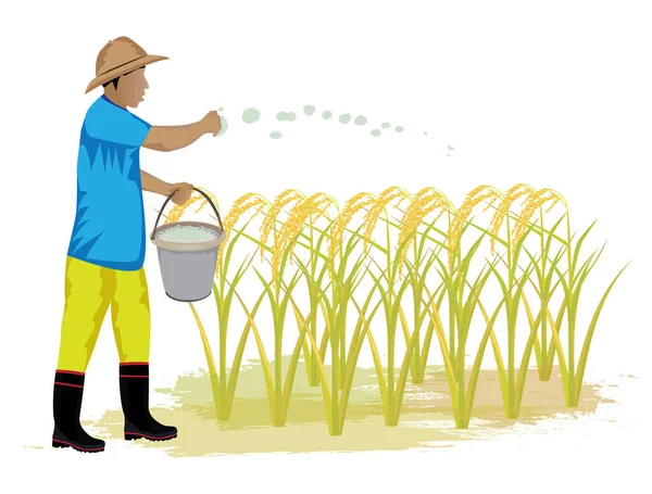 Asijský Zemědělec Pěstující Rýži Vektorový Design — Stockový vektor