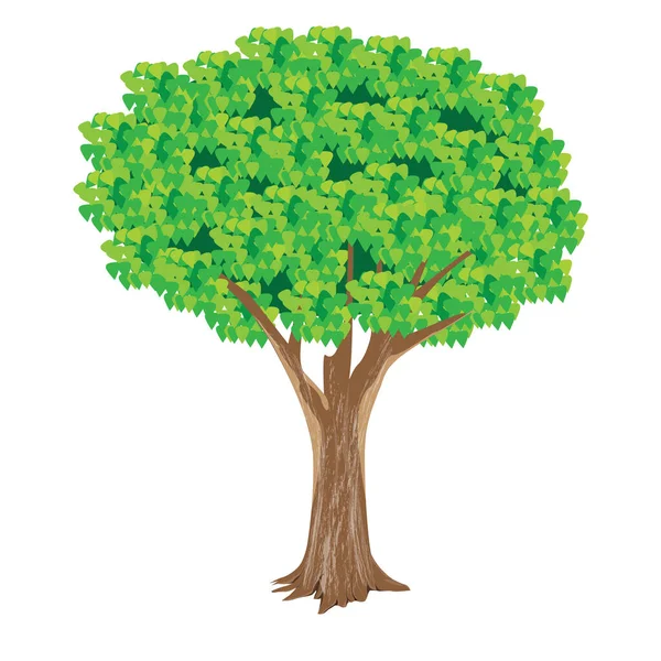 Diseño Vector Árbol Verde Aislado — Vector de stock