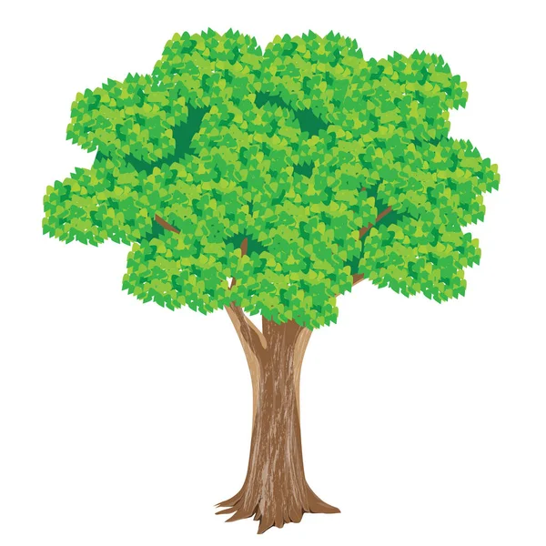 Zole Edilmiş Yeşil Ağaç Vektör Tasarımı — Stok Vektör
