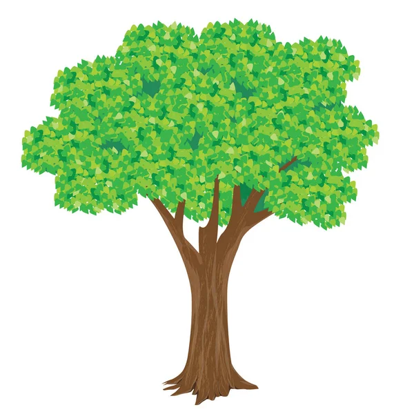 Green Tree Vector Design — 스톡 벡터