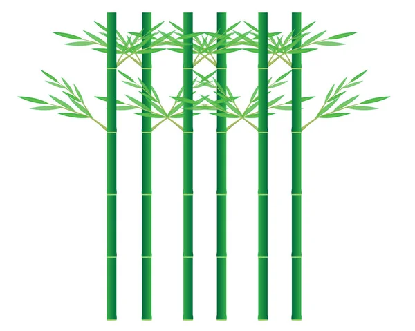 Konstruktion Vektorer För Bambuväxter — Stock vektor