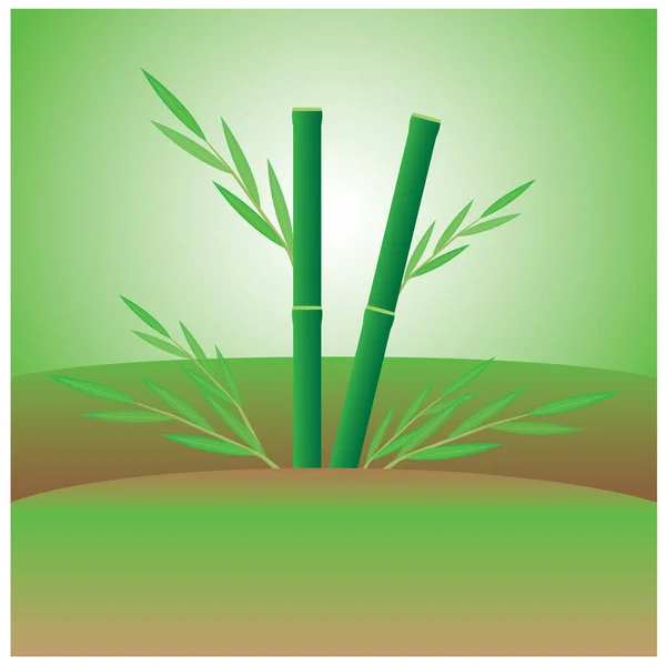 Bambou Sur Fond Blanc Dessin Vectoriel — Image vectorielle