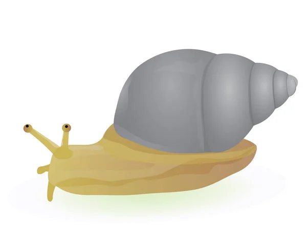 孤立蜗牛矢量设计 — 图库矢量图片